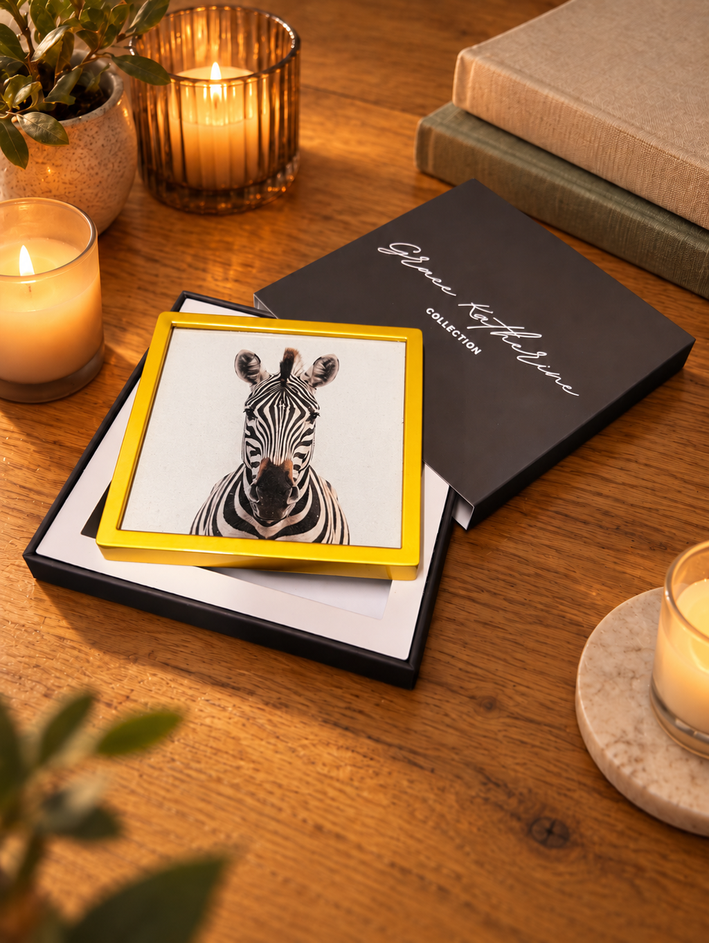 Zebra | Wildlife Art Print | Animal Wall Art