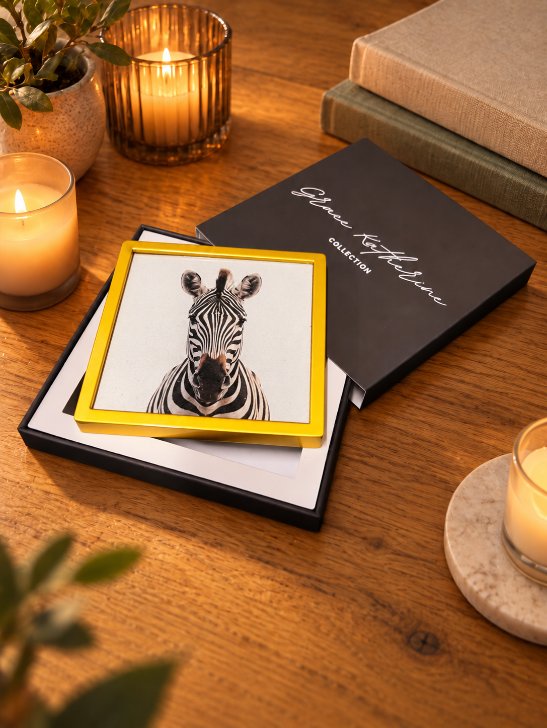 Zebra | Wildlife Art Print | Animal Wall Art