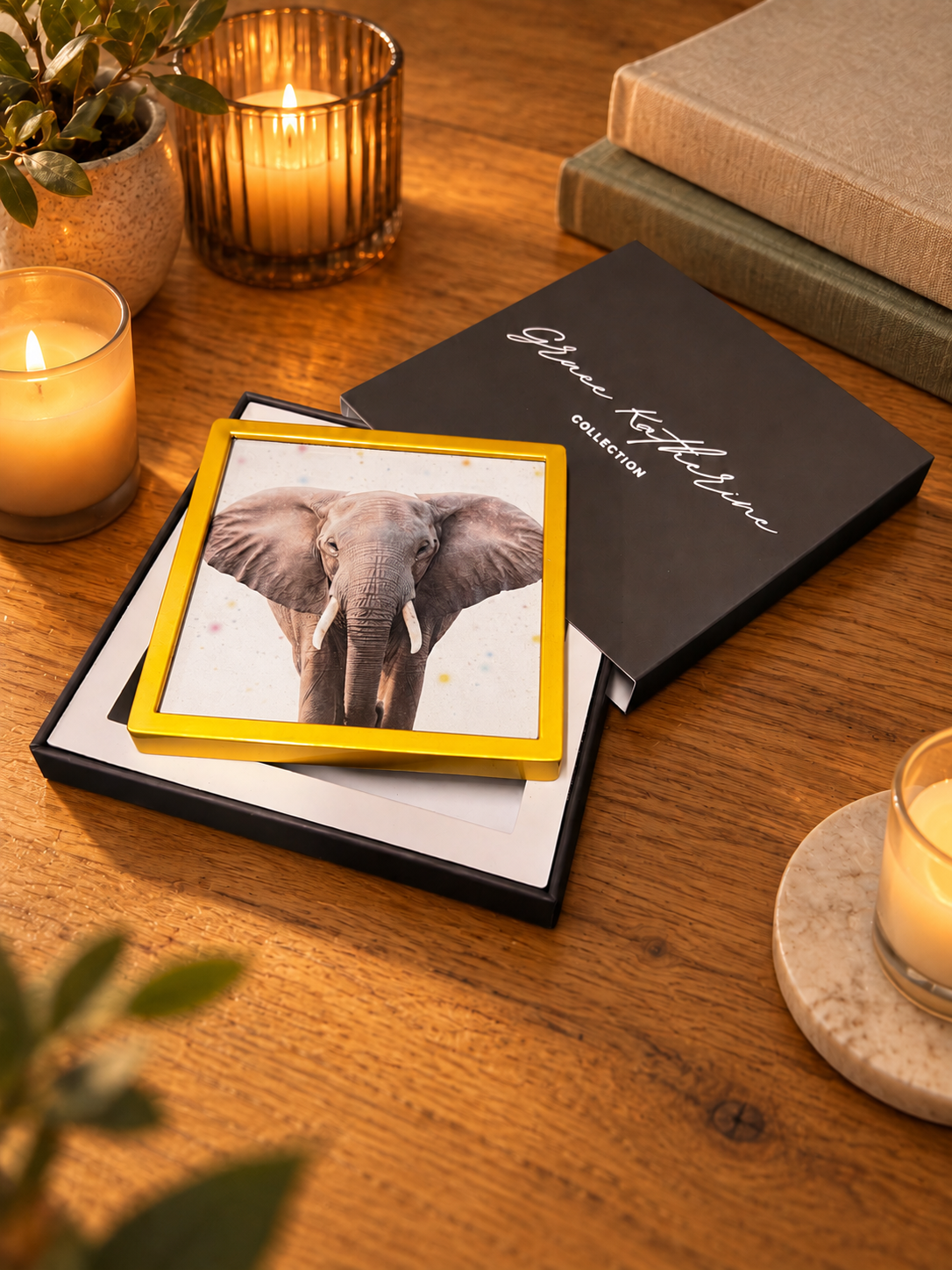 Elephant | Wildlife Art Print | Animal Wall Art