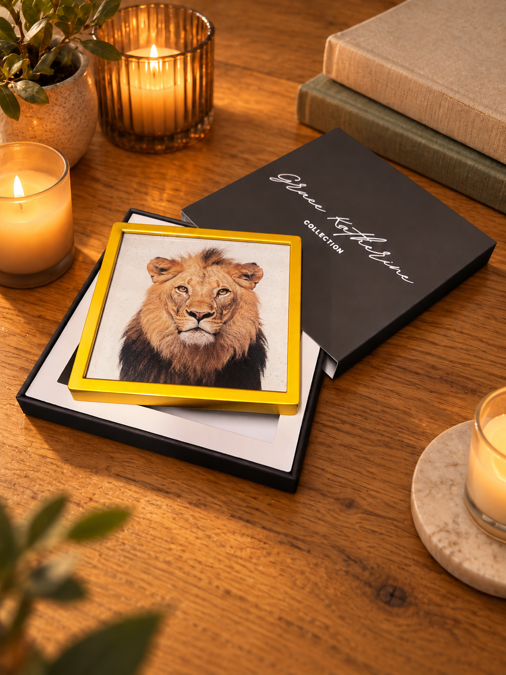 Lion | Wildlife Art Print | Animal Wall Art