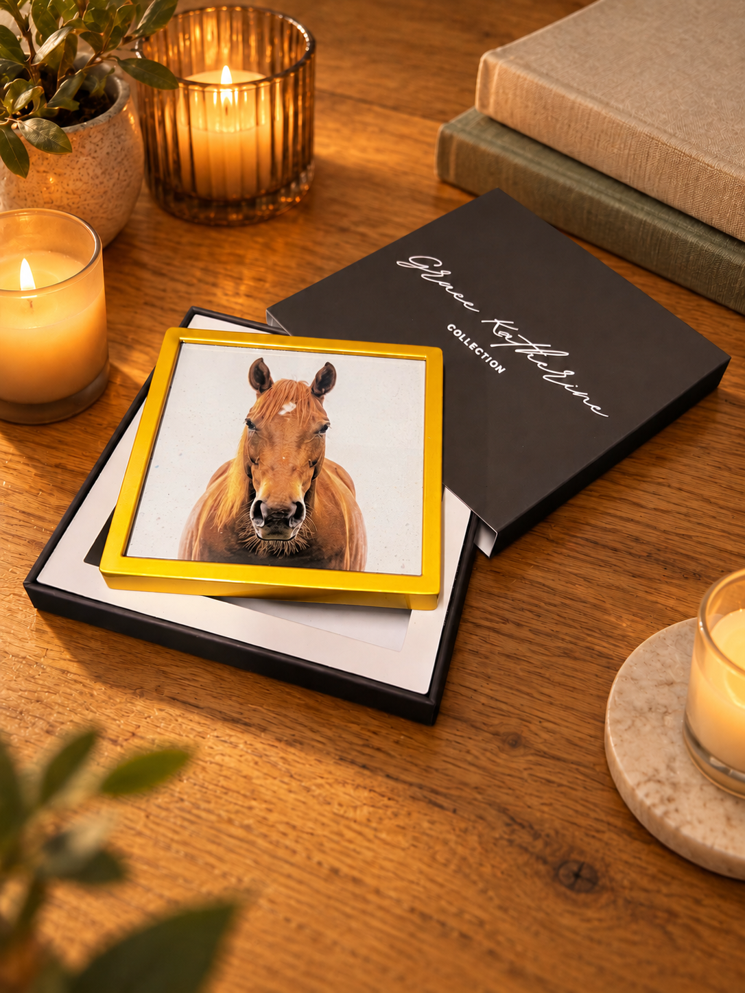 Horse | Wildlife Art Print | Animal Wall Art
